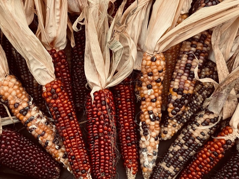 Seasonal produce